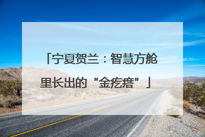 宁夏贺兰：智慧方舱里长出的“金疙瘩”