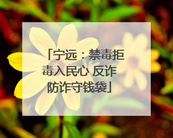 宁远：禁毒拒毒入民心 反诈防诈守钱袋