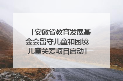 安徽省教育发展基金会留守儿童和困境儿童关爱项目启动