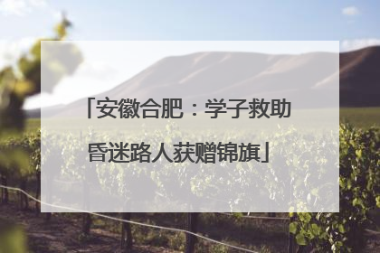 安徽合肥：学子救助昏迷路人获赠锦旗