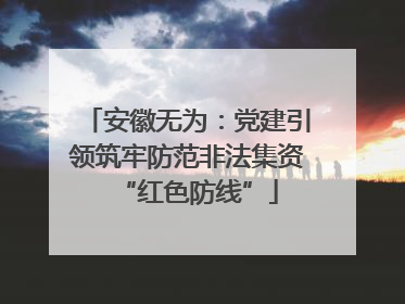安徽无为：党建引领筑牢防范非法集资“红色防线”