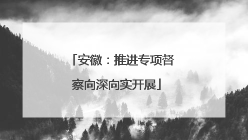 安徽：推进专项督察向深向实开展