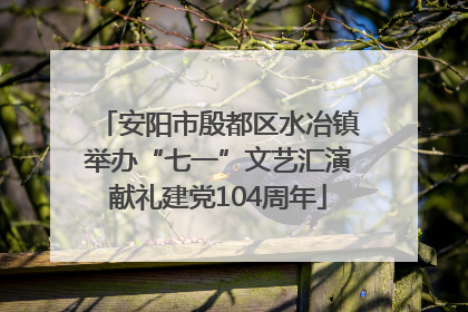 安阳市殷都区水冶镇举办“七一”文艺汇演献礼建党104周年