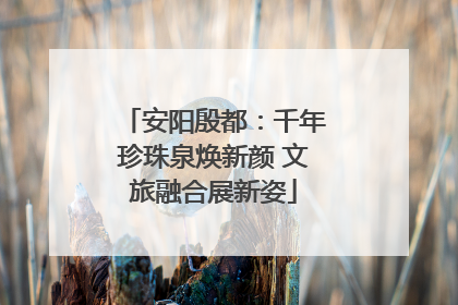 安阳殷都:千年珍珠泉焕新颜 文旅融合展新姿