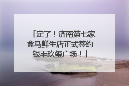 定了！济南第七家盒马鲜生店正式签约银丰玖玺广场！