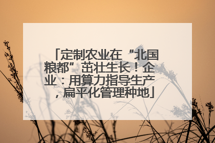 定制农业在“北国粮都”茁壮生长！企业：用算力指导生产，扁平化管理种地