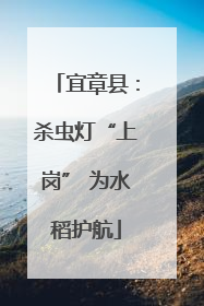 宜章县：杀虫灯“上岗” 为水稻护航