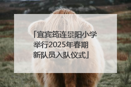 宜宾筠连景阳小学举行2025年春期新队员入队仪式