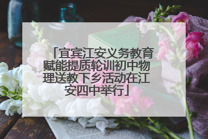 宜宾江安义务教育赋能提质轮训初中物理送教下乡活动在江安四中举行