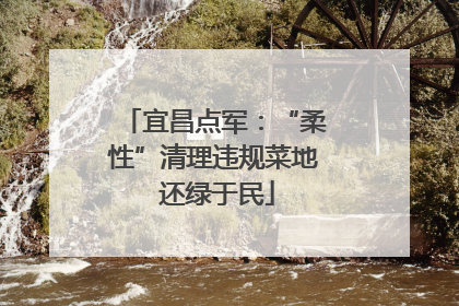 宜昌点军：“柔性”清理违规菜地 还绿于民