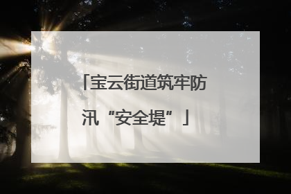 宝云街道筑牢防汛“安全堤”
