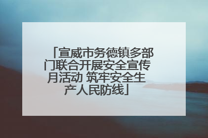 宣威市务德镇多部门联合开展安全宣传月活动 筑牢安全生产人民防线