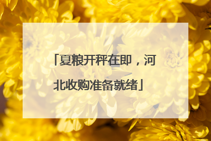 夏粮开秤在即，河北收购准备就绪