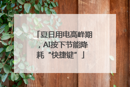 夏日用电高峰期，AI按下节能降耗“快捷键”
