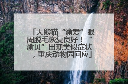 大熊猫“渝爱”眼周脱毛恢复良好！“渝贝”出现类似症状，重庆动物园回应