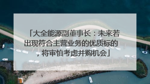 大全能源副董事长：未来若出现符合主营业务的优质标的，将审慎考虑并购机会