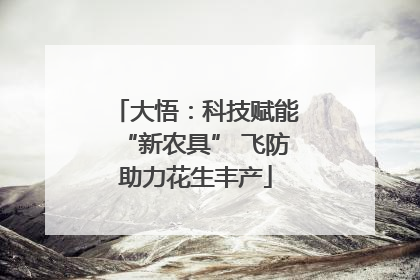 大悟：科技赋能“新农具” 飞防助力花生丰产