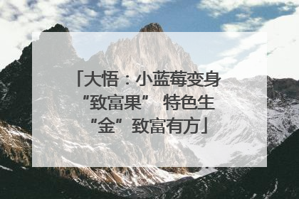 大悟：小蓝莓变身“致富果” 特色生“金”致富有方