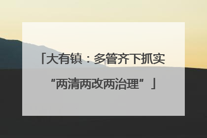 大有镇：多管齐下抓实“两清两改两治理”