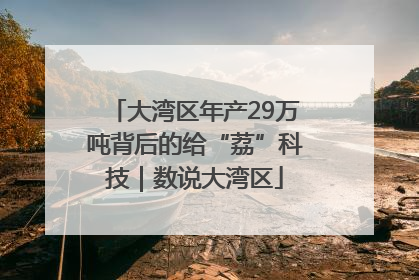 大湾区年产29万吨背后的给“荔”科技｜数说大湾区