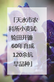 天水市农科所小麦试验田开镰 60年育成120余抗旱品种