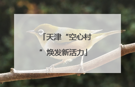 天津“空心村”焕发新活力