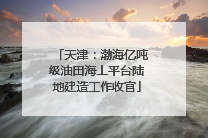 天津：渤海亿吨级油田海上平台陆地建造工作收官
