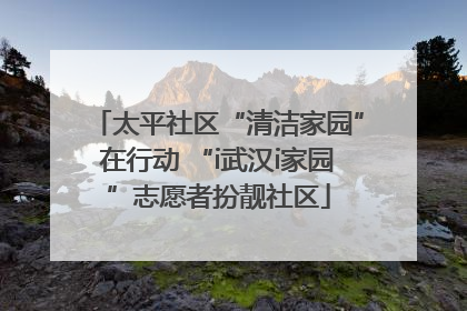 太平社区“清洁家园”在行动 “i武汉i家园”志愿者扮靓社区