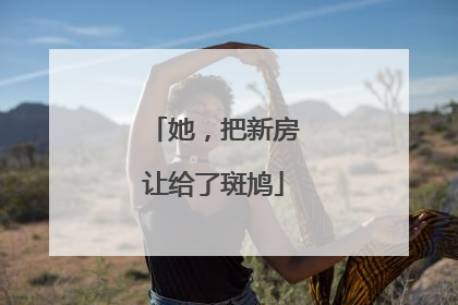 她，把新房让给了斑鸠