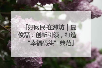 好网民·在潍坊｜夏俊磊：创新引领，打造“幸福码头”典范