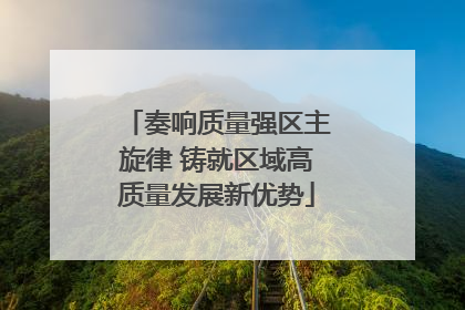 奏响质量强区主旋律 铸就区域高质量发展新优势