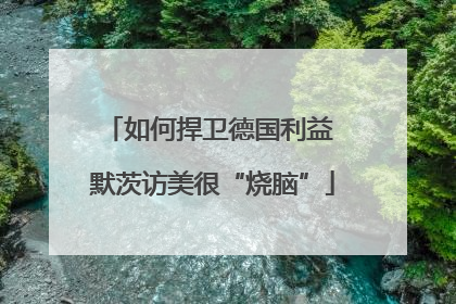 如何捍卫德国利益 默茨访美很“烧脑”