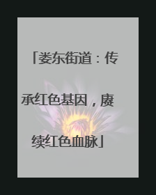 娄东街道：传承红色基因，赓续红色血脉