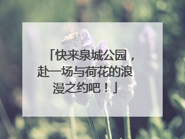 快来泉城公园，赴一场与荷花的浪漫之约吧！