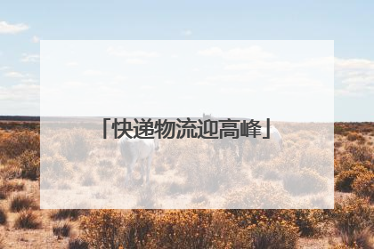 快递物流迎高峰