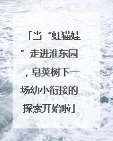 当“虹猫娃”走进淮东园，皂荚树下一场幼小衔接的探索开始啦