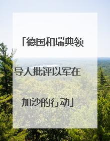 德国和瑞典领导人批评以军在加沙的行动