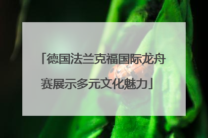 德国法兰克福国际龙舟赛展示多元文化魅力