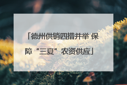 德州供销四措并举 保障“三夏”农资供应