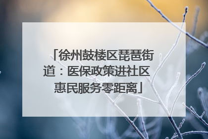 徐州鼓楼区琵琶街道：医保政策进社区 惠民服务零距离