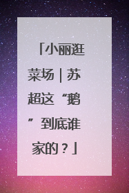 小丽逛菜场｜苏超这“鹅”到底谁家的？