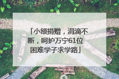 小额捐赠，涓滴不断，呵护万宁61位困难学子求学路