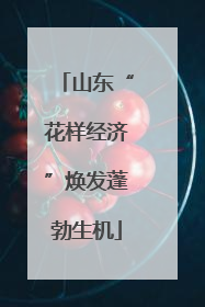 山东“花样经济”焕发蓬勃生机
