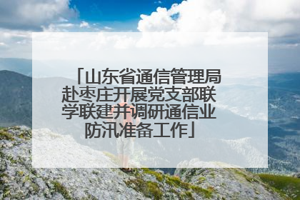 山东省通信管理局赴枣庄开展党支部联学联建并调研通信业防汛准备工作