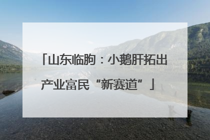 山东临朐：小鹅肝拓出产业富民“新赛道”
