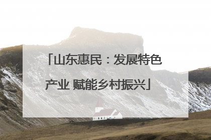 山东惠民：发展特色产业 赋能乡村振兴