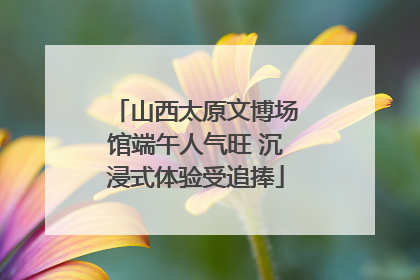 山西太原文博场馆端午人气旺 沉浸式体验受追捧