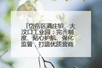 岱岳区满庄镇、大汶口工业园：完善制度、贴心护航、强化监管，打造优质营商“强磁场”