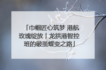 巾帼匠心筑梦 港航玫瑰绽放丨龙拱港智控班的破茧蝶变之路