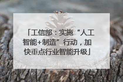 工信部：实施“人工智能+制造”行动，加快重点行业智能升级